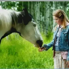 Najlepsze filmy o koniach po polsku, które poruszą Twoje serce