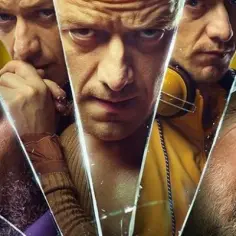 Glass film - wyczekiwana recenzja, która mocno rozczarowuje fanów serii