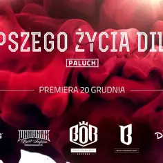 Recenzja albumu Lepszego życia diler Palucha - poznaj mocne i słabe strony płyty
