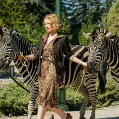 Gdzie obejrzeć film Azyl The Zookeeper's Wife online - wszystkie platformy VOD